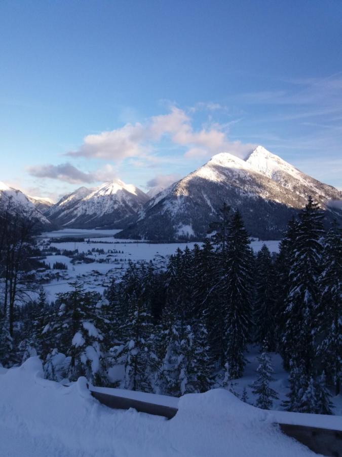 Pension Alpengruss Heiterwang Exteriér fotografie